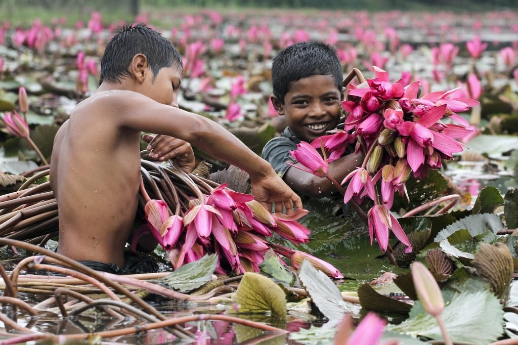 Education Barriers in Bangladesh: Challenges and Solutions